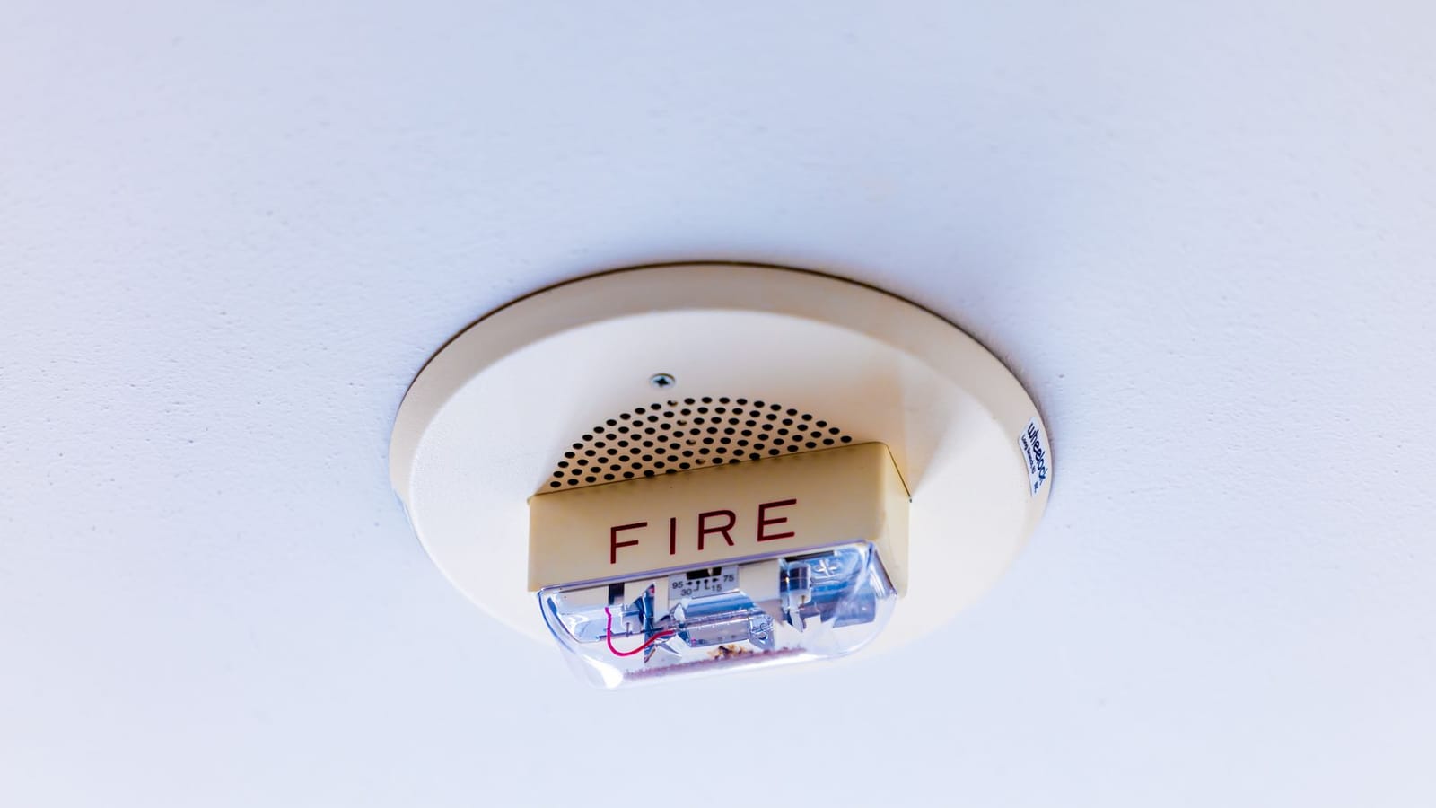 Photoelectric smoke alarm installation in a Christchurch home